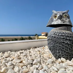 Vivienda Gorrion Appartamento Morro Jable (Fuerteventura)